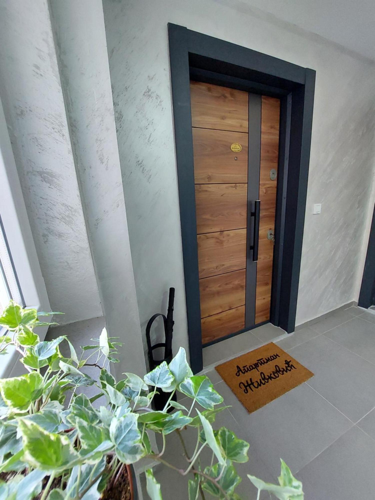 Apartmani Zivkovic Veliko Gradište Exterior foto
