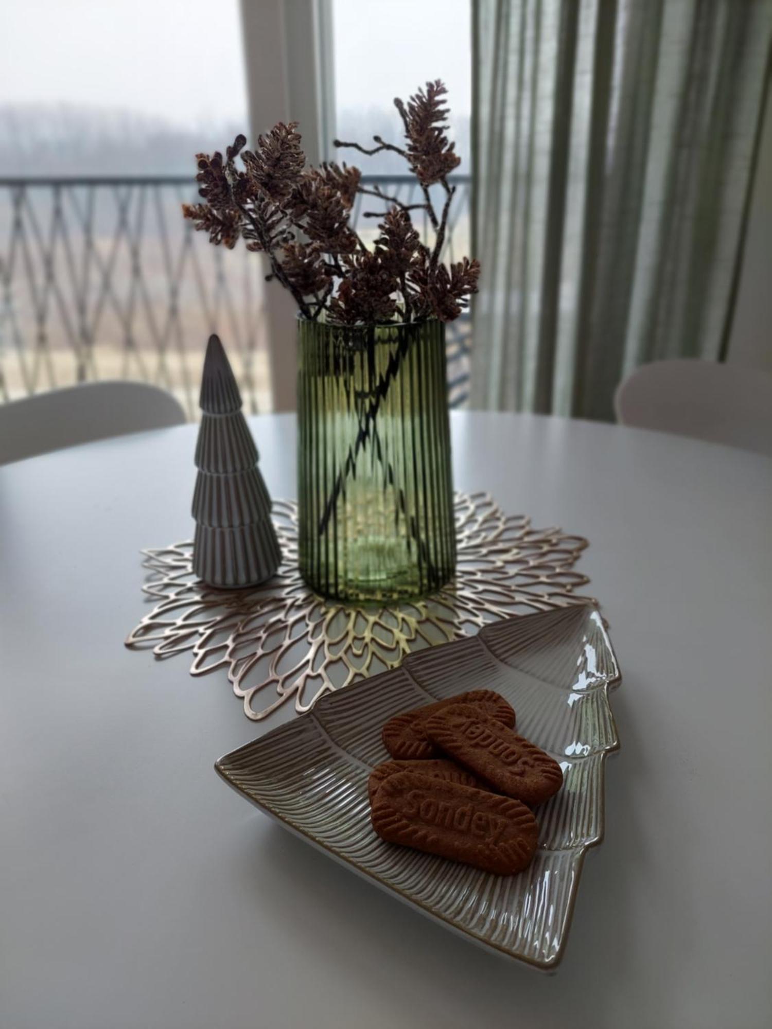 Apartmani Zivkovic Veliko Gradište Exterior foto